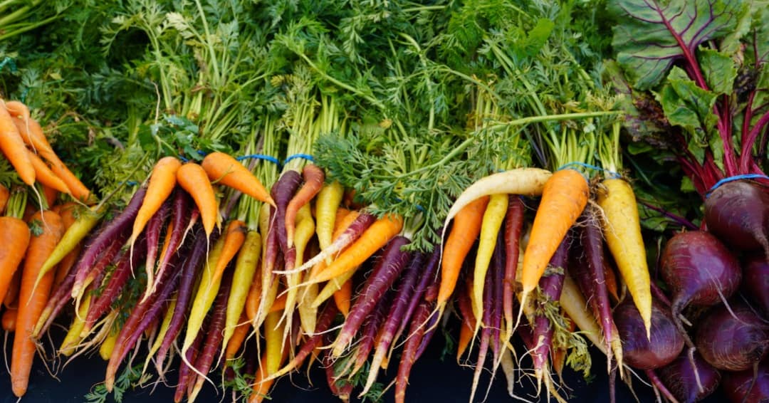 Carrots at Billings Farmers Market | Guide to Billings Area Farmers Markets | Better Off in Billings