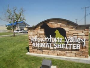 Yellowstone Valley Animal Shelter | The Area's Larest Shelter | Better Off in Billings