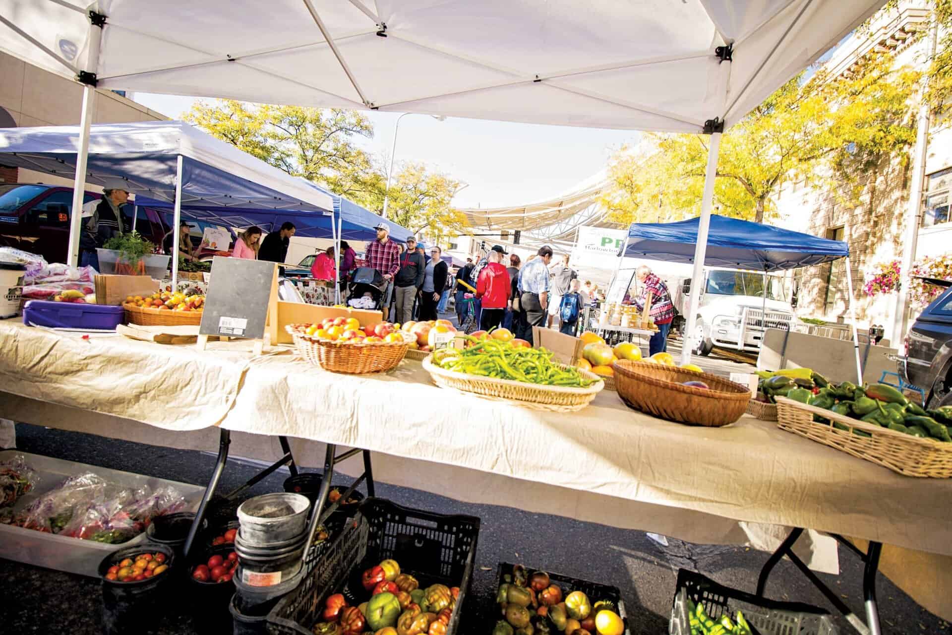 6 Things to do in Downtown Billings this Summer